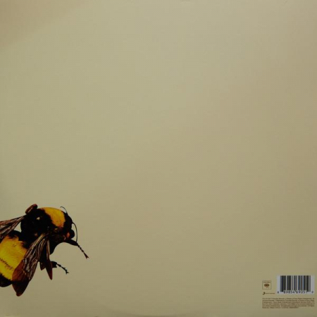 Tyler, The Creator - Flower Boy [1]