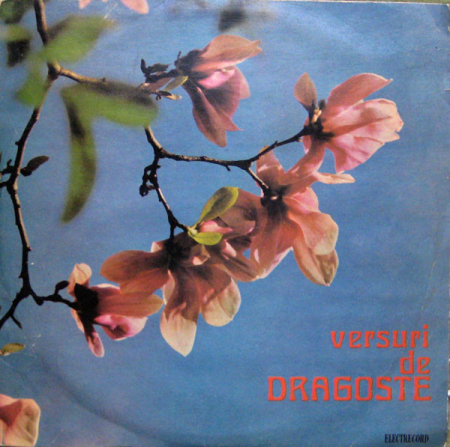 Versuri De Dragoste, (Disc Vinil) [0]
