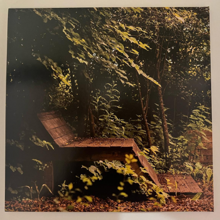 Vinil NO FESTIVAL , (Disc Vinil) [2]