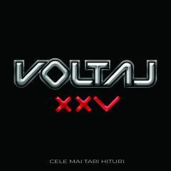 Viniluri Românești - Voltaj - XXV ( Aniversare 25 de ani)