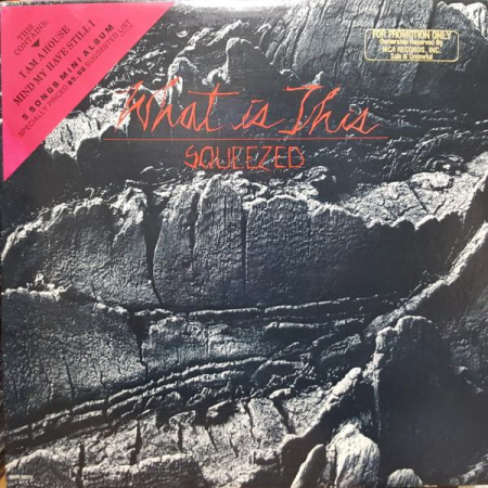 Discuri vinil - What Is This - Squeezed (Disc Vinil)