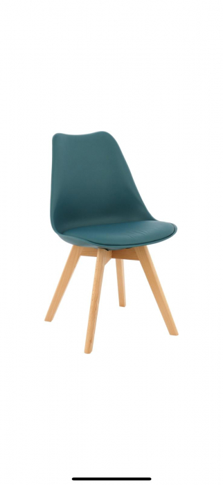 Scaun bucatarie/living [1]