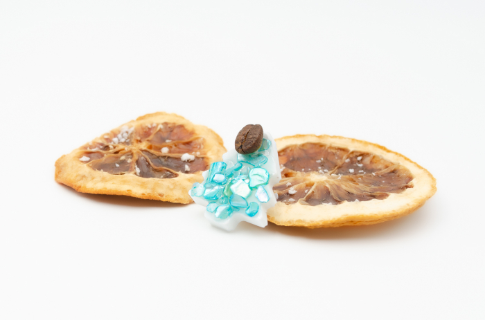 Brosa pin Brad de Craciun cu cu bob de cafea si scoica albastra [2]