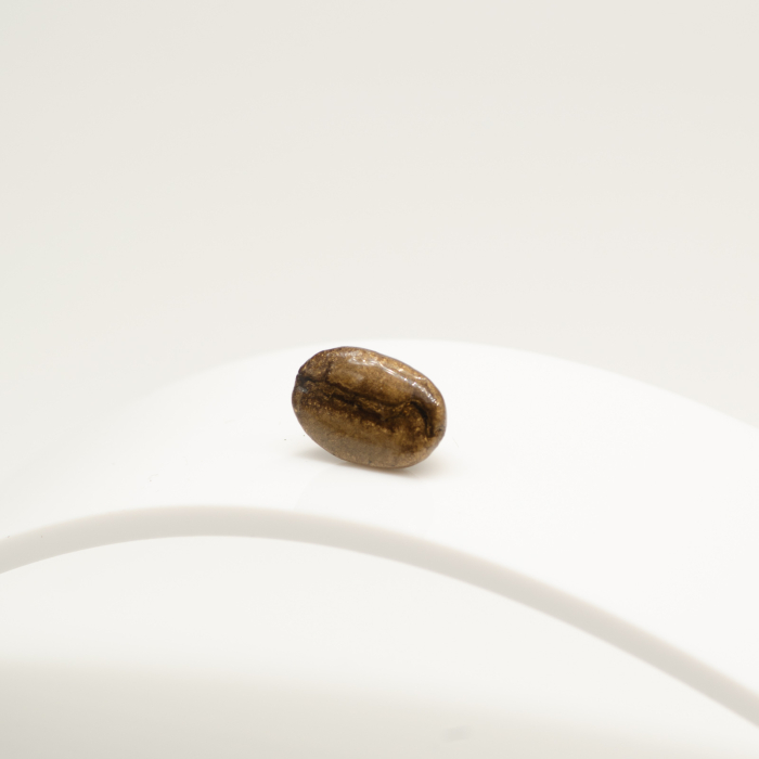 Broșă pin BOBreal Gold cu bob real de cafea în rășină transparentă Bean Bling [7]