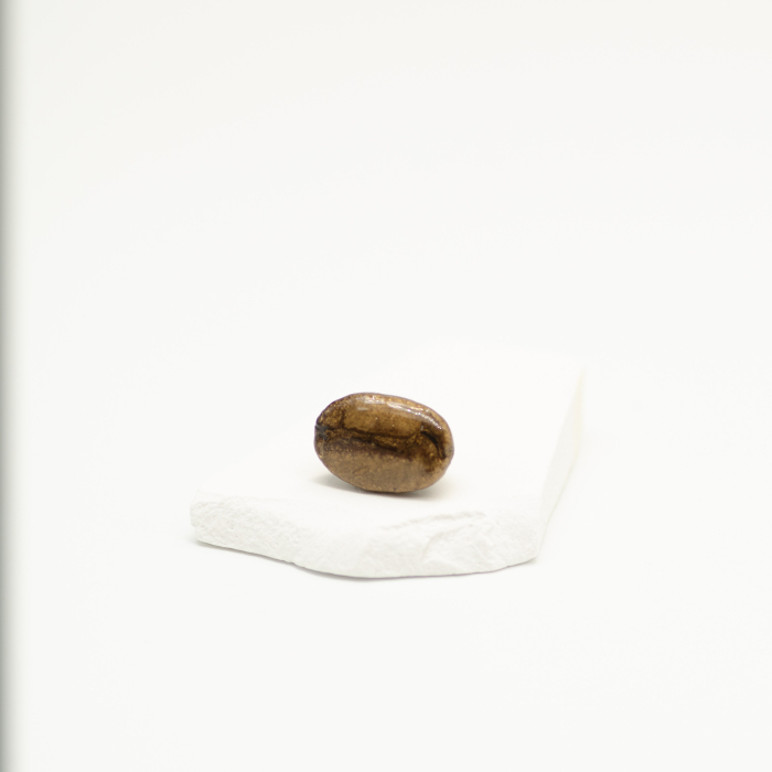 Broșă pin BOBreal Gold cu bob real de cafea în rășină transparentă Bean Bling [2]