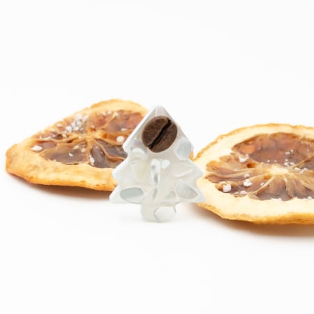 CADOURI DE CRACIUN - Brosa pin Brad de Craciun cu cu bob de cafea si scoica alba