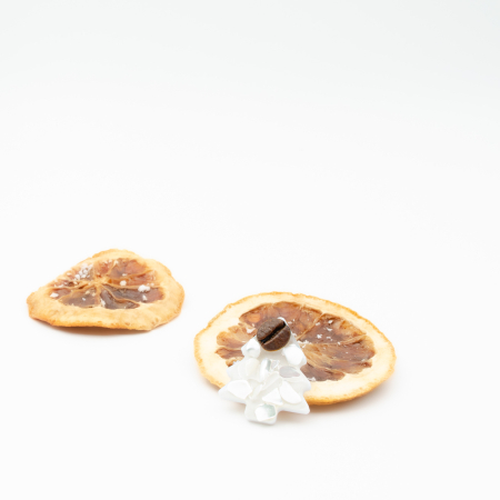 Brosa pin Brad de Craciun cu cu bob de cafea si scoica alba [4]