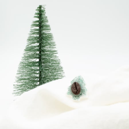 CADOURI DE CRACIUN - Brosa pin Brad de Craciun decorat cu bob de cafea si glitter verde