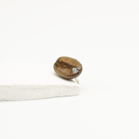 Broșă Pin - Broșă pin BOBreal Gold cu bob real de cafea în rășină transparentă Bean Bling