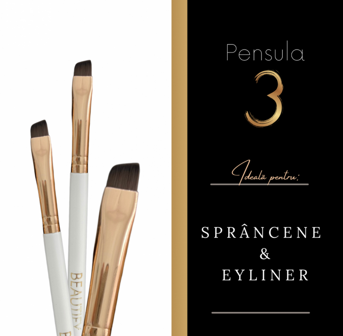 Pensula nr.3 [2]