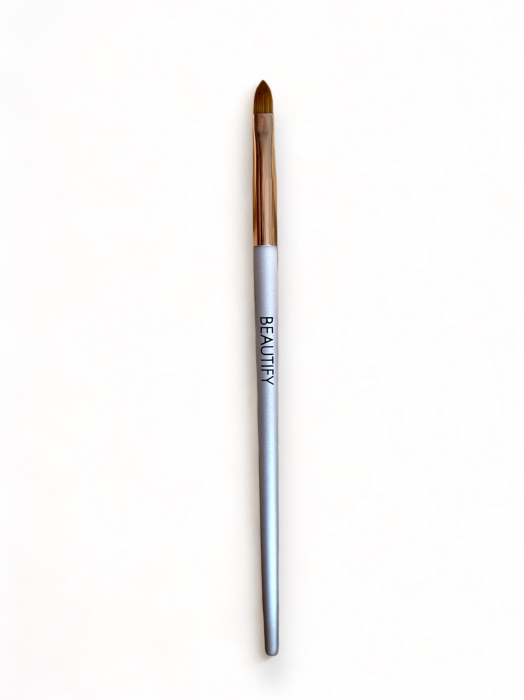 Pensula nr. 6 [1]