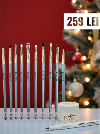Christmas set - Set 10 pensule + Lamibrow 15 + Carioca sprancene