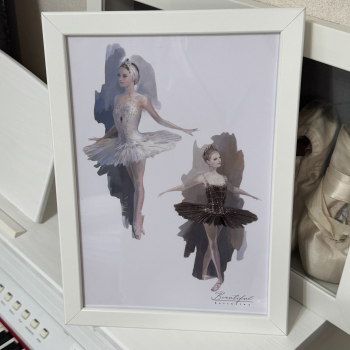 Tablou - Lacul Lebedelor - Swan Lake A4 [2]