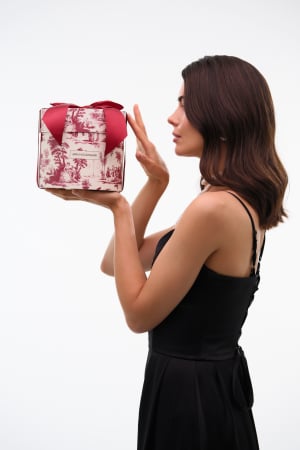 CHRISTMAS PACK BRUNO VASSARI - The Emblem - KIANTY EXPERIENCE [8]