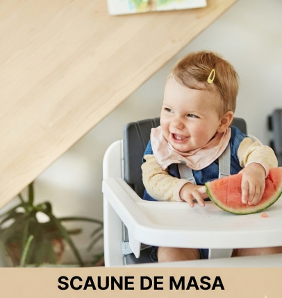 Scaune de masa