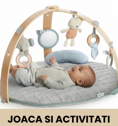 JOACA SI ACTIVITATI