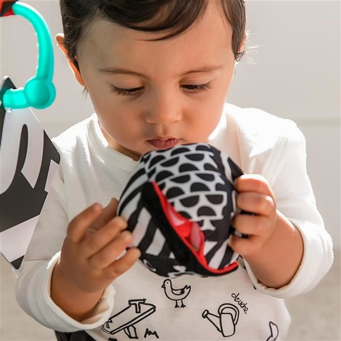 Baby Einstein - Salteluta de activitati Bold New World [10]