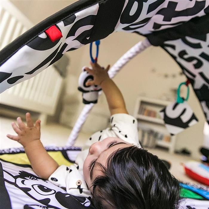 Baby Einstein - Salteluta de activitati Bold New World [9]