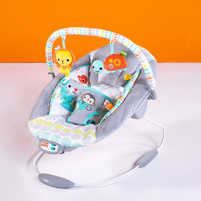 Bright Starts - Leagan si balansoar Whimsical Wild [10]