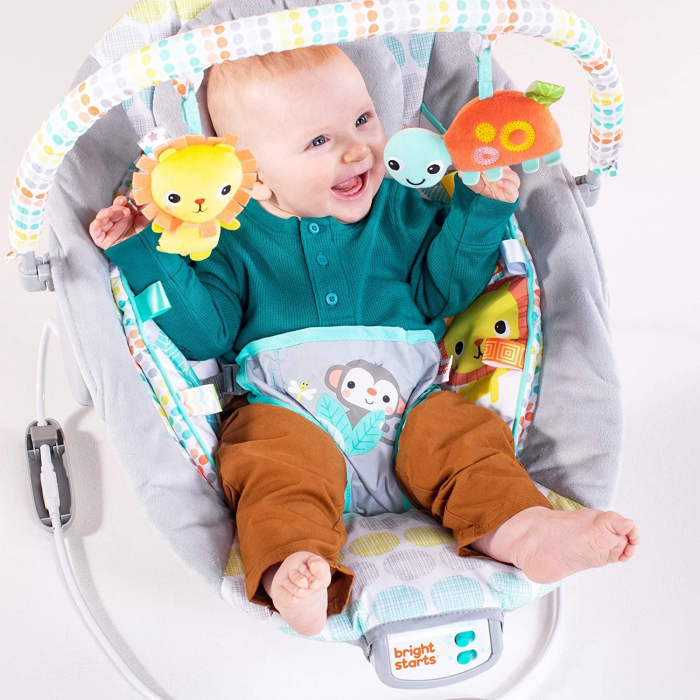 Bright Starts - Leagan si balansoar Whimsical Wild [8]
