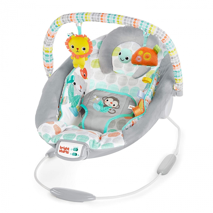 Bright Starts - Leagan si balansoar Whimsical Wild [3]