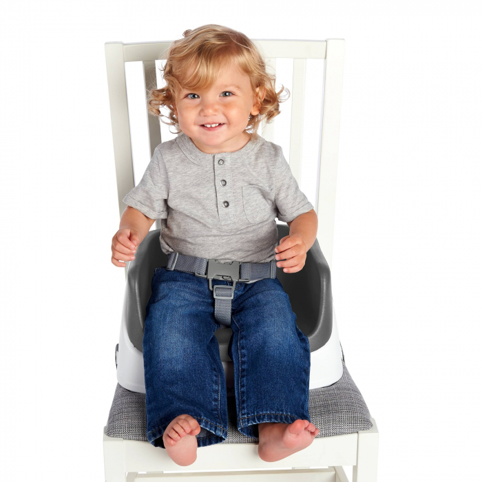 Ingenuity – Booster Toddler Slate [8]