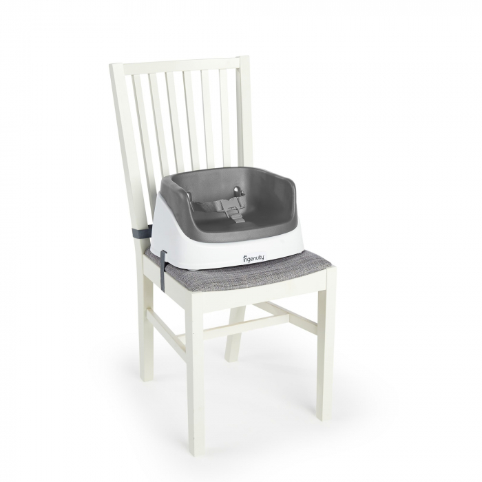 Ingenuity – Booster Toddler Slate [4]
