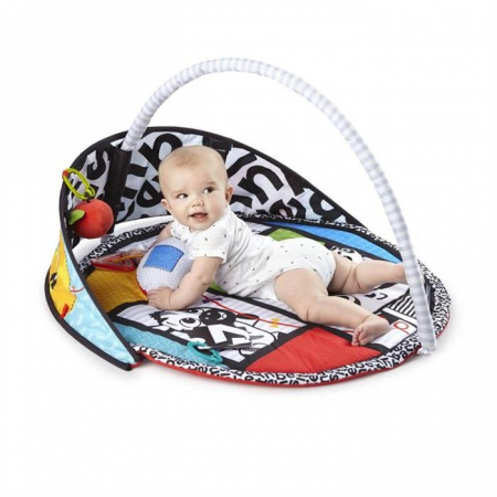 Baby Einstein - Salteluta de activitati Bold New World [1]