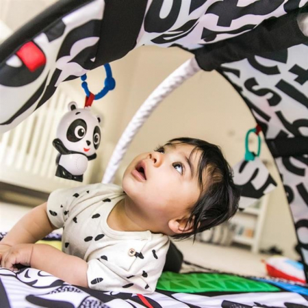 Baby Einstein - Salteluta de activitati Bold New World [7]