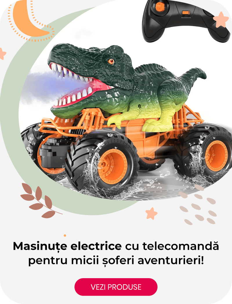 Masinute RC cu telecomanda