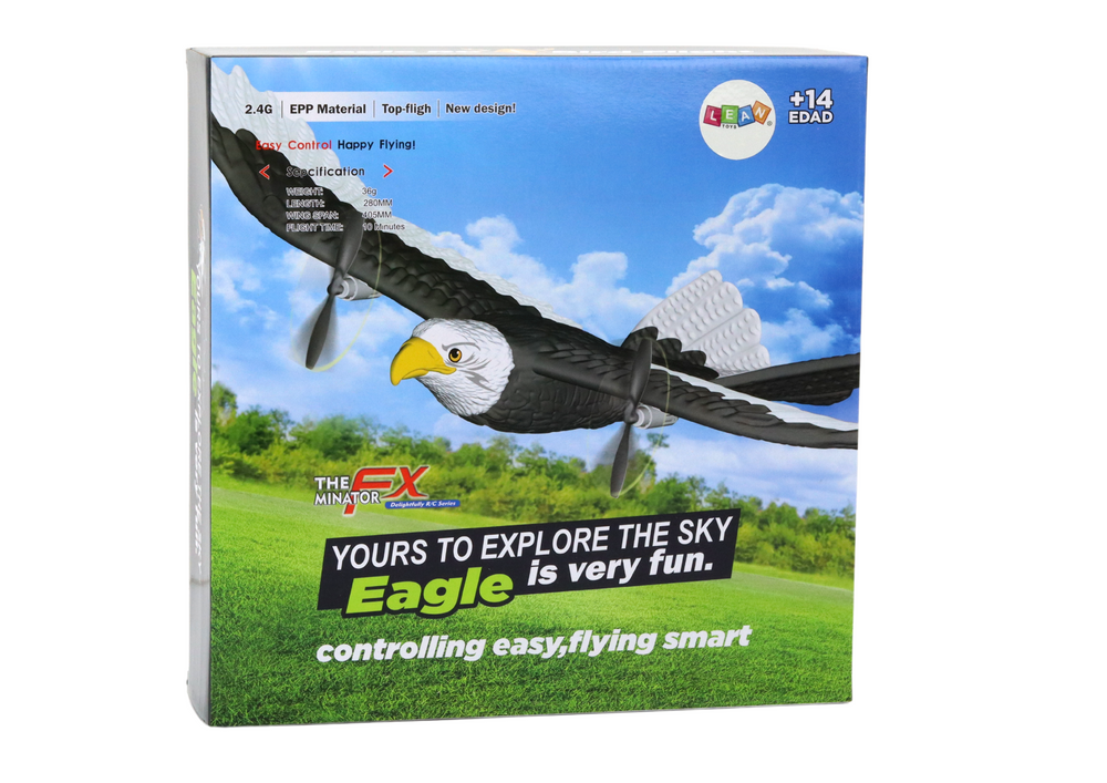 Avion cu telecomanda Eagle Bird 2.4G EPP 41cm, 14 ani+ [4]