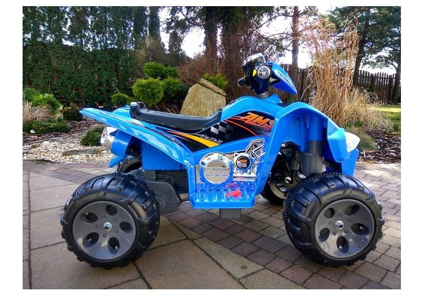 ATV Electric Medium Quad Albastru, 12V, 2 Motoare și Panou Audio [11]