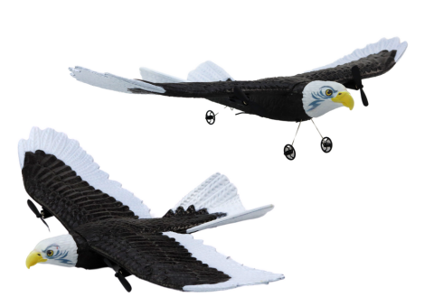 Avion cu telecomanda Eagle Bird 2.4G EPP 41cm, 14 ani+ [1]