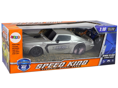 Masinuta cu telecomanda Silver Champion Sports Car 1:18, 6 ani+ [5]
