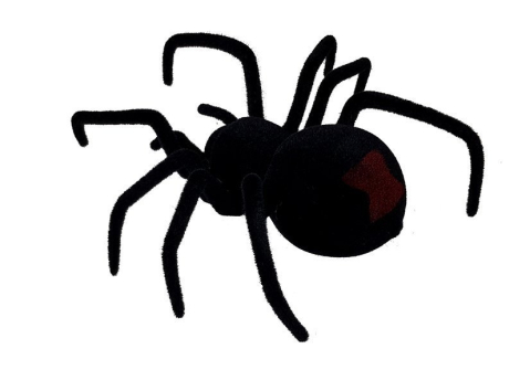 Paianjen cu telecomanda Black Widow cu ochi luminosi, 8 ani+ [2]