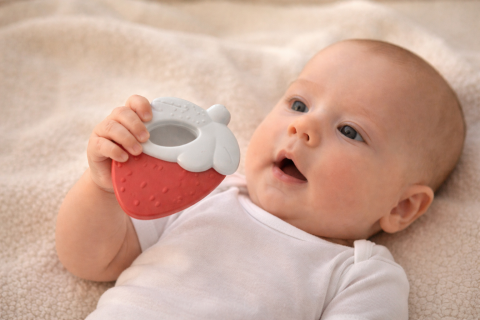 Zornaitoare - Zornaitoare Bebe Capsuna Rosie cu frunza texturata, 3 luni+