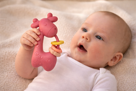 Zornaitoare - Zornaitoare Bebe Girafa Roz cu inele de jucarie, 3 luni+