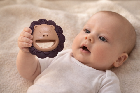 Zornaitoare - Zornaitoare Bebe Leu Vesel cu maner usor de tinut, 3 luni+