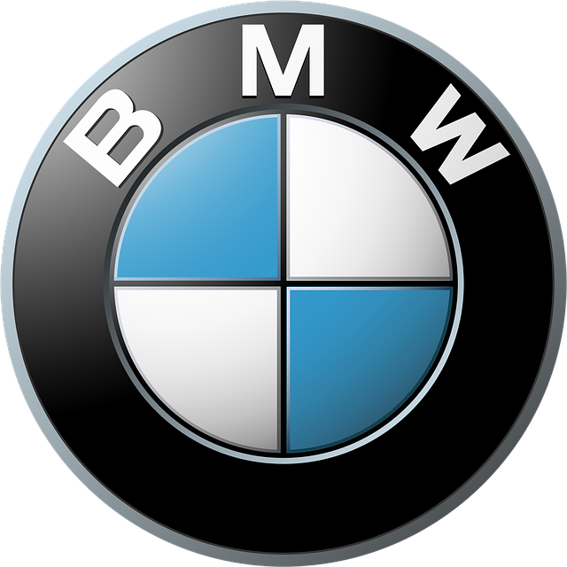 BMW RC Rastar frontal