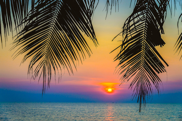 Palm trees Sunset [2]