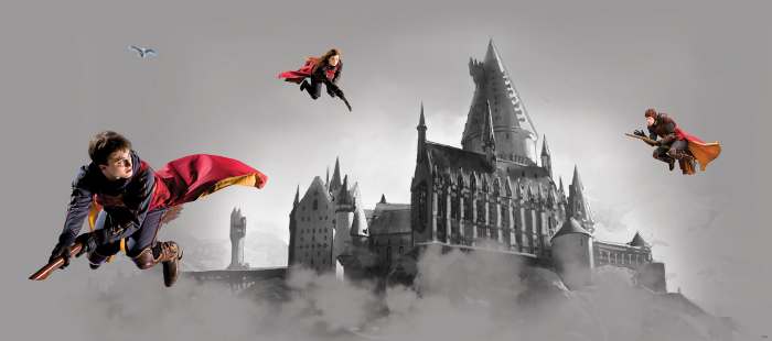 Fototapet Quidditch and Castle [3]