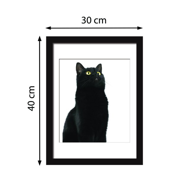 Sticker 2In1 Cute Black Cat Frame Sticker [3]