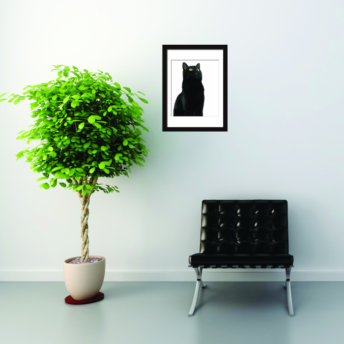 Sticker 2In1 Cute Black Cat Frame Sticker [2]