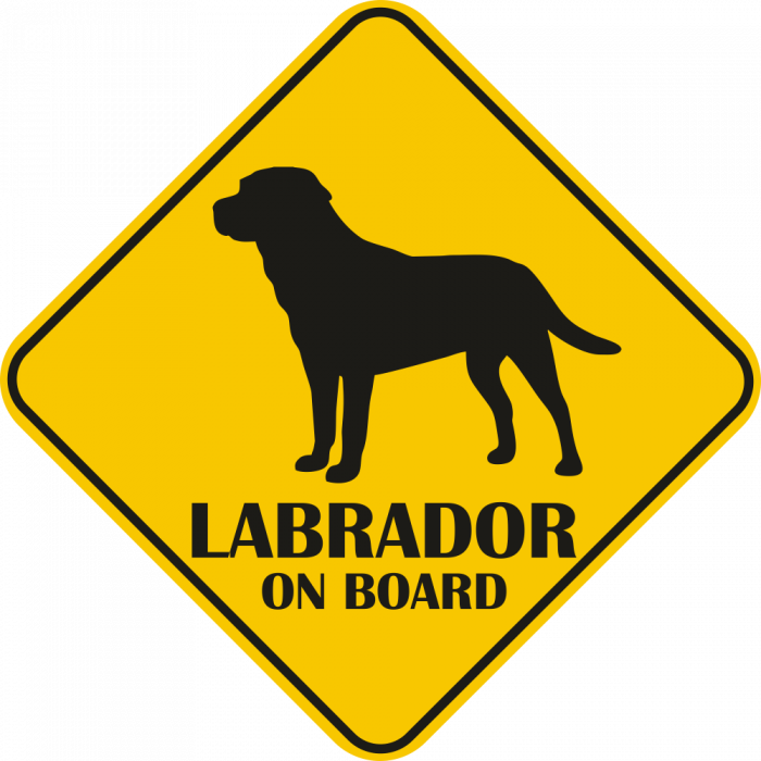 Sticker auto - Labrador [2]