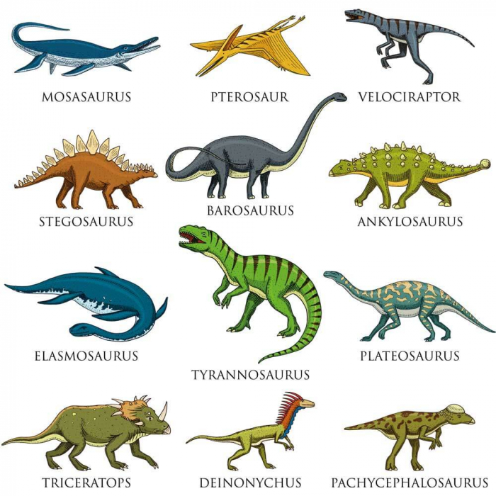 Sticker - Specii de Dinozauri [3]