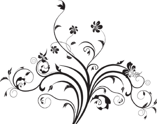 Sticker Copac Vesel [2]