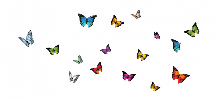 Sticker decorativ - Fluturi [2]