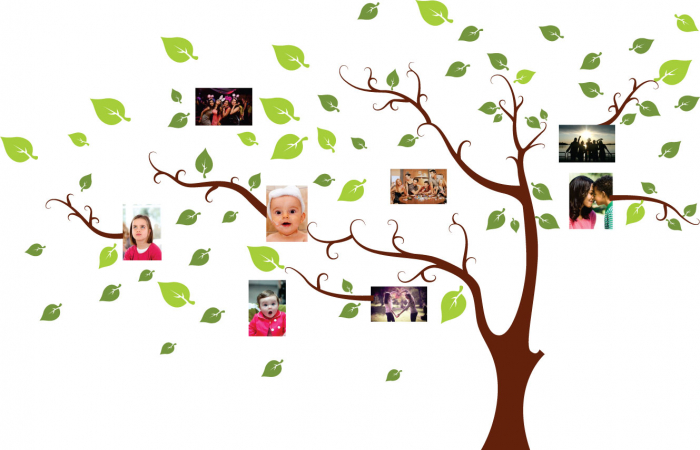 Sticker Decorativ - Copac cu amintiri [2]