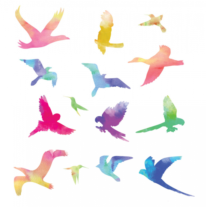 Sticker Decorativ - Coloured-Birds [2]