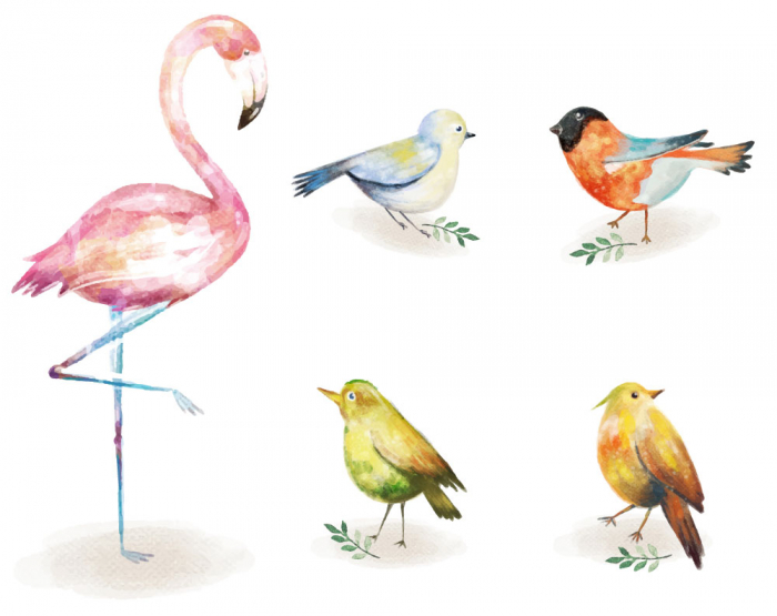 Sticker Decorativ - Pasari Watercolor [2]
